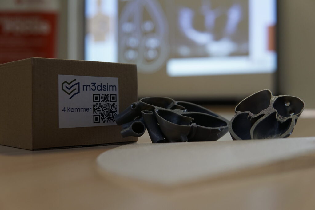 Herzmodell in Anwendung